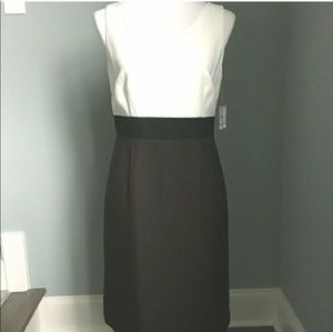 Kasper sheath dress